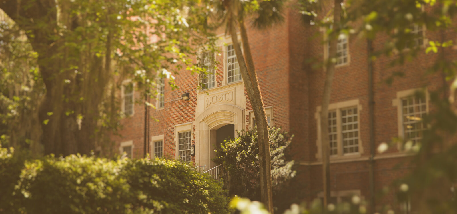 Brick building and trees seen through a golden haze