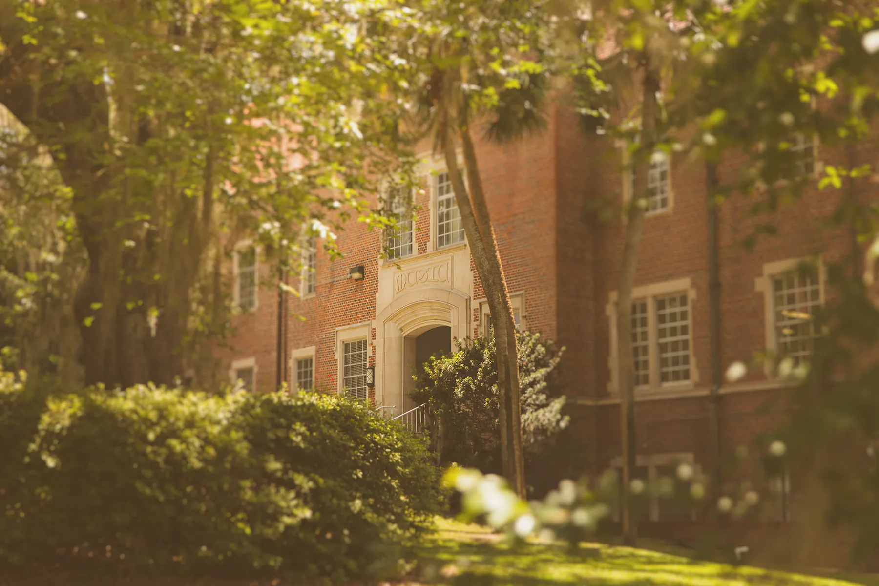 Sempre Con Moto: Faculty Summer Activities
